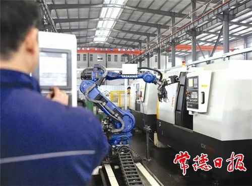 引金融活水，潤產(chǎn)業(yè)之花——常德財政推動非融資性擔保服務(wù)高質(zhì)量發(fā)展