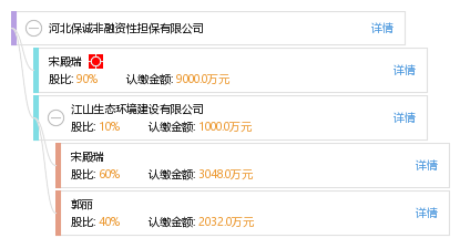 河北保誠非融資性擔保 專注非融資性擔保服務，助力區域經濟穩健發展